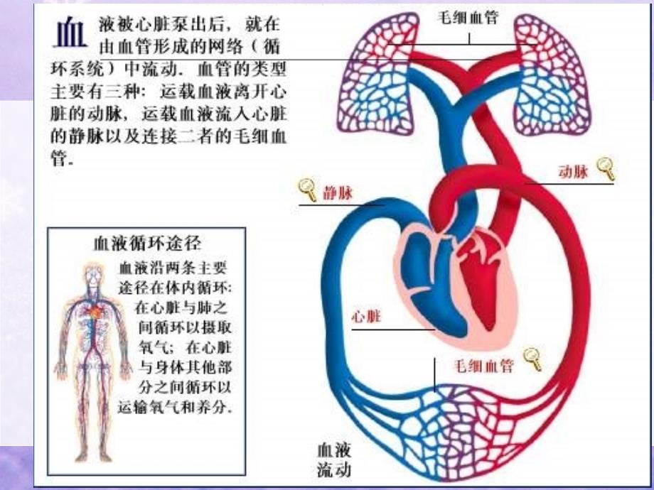 肺栓塞病人的护理课件_第3页