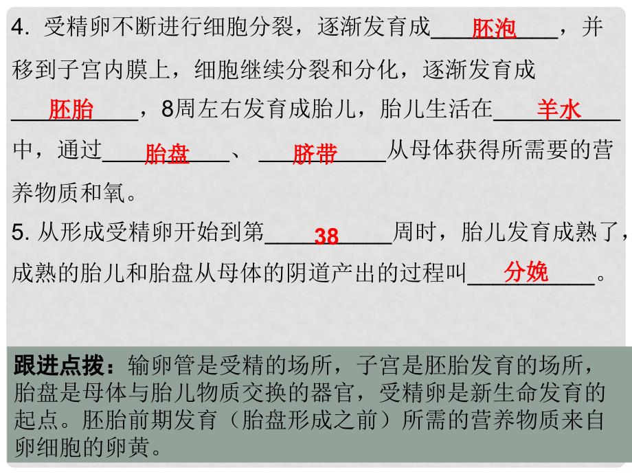 广东省中考生物 第四单元 第一章 人的由来复习课件_第4页