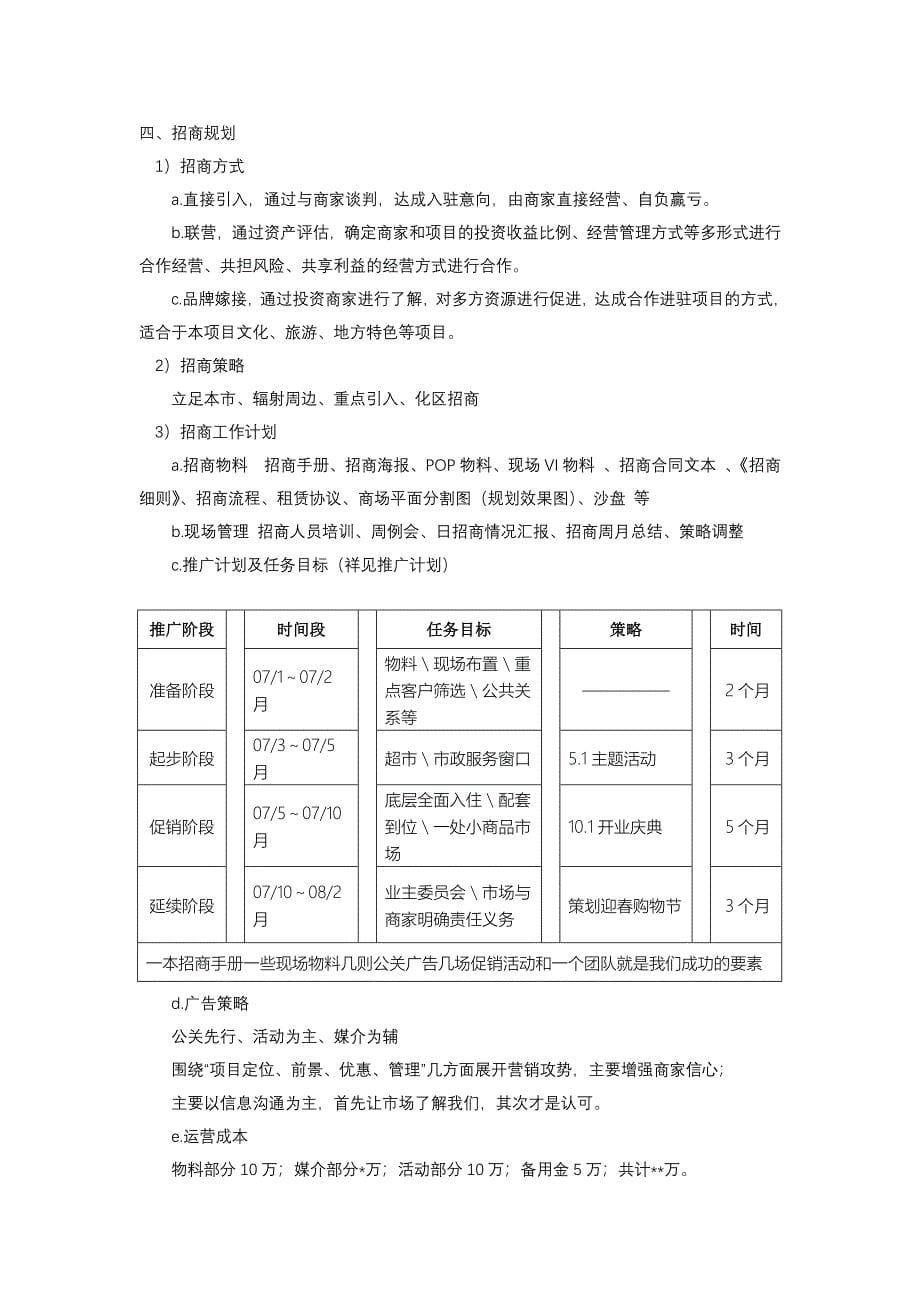 XX项目三年战略规划(doc7)(1)_第5页