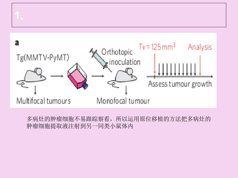 有关生物化学方面的一点知识ppt课件_第2页