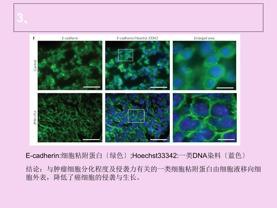 有关生物化学方面的一点知识ppt课件_第5页