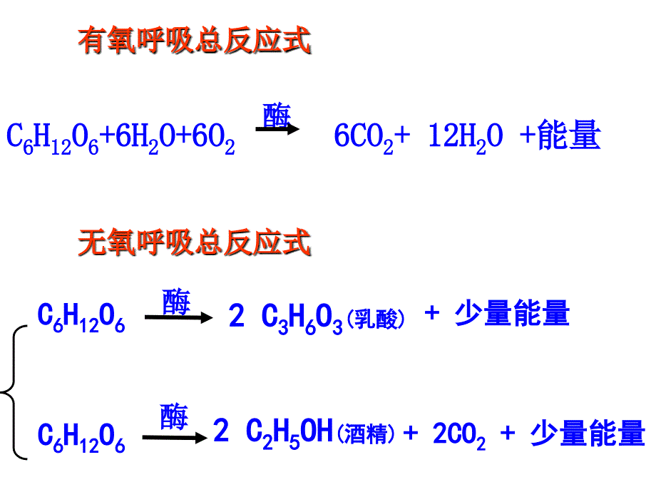 影响细胞呼吸的因素和细胞呼吸方式的测定教案_第2页