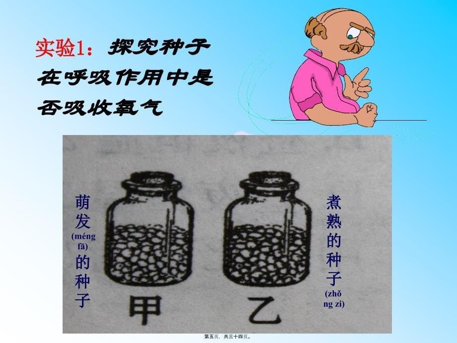 医学专题—绿色植物的呼吸作用17871_第5页