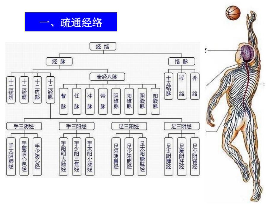 针灸治疗作用针灸专业32页PPT课件_第4页