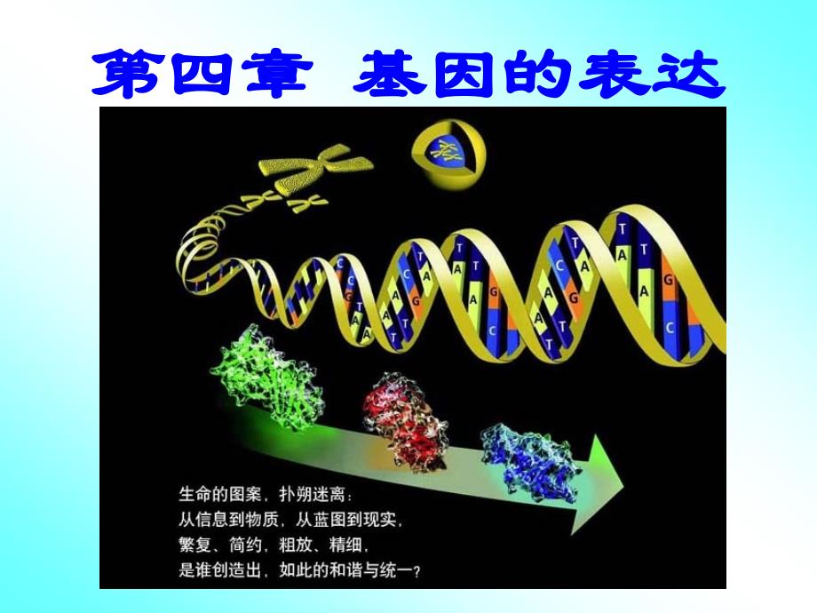 第四章基因的表达第一节基因指导蛋白质的合成_第1页