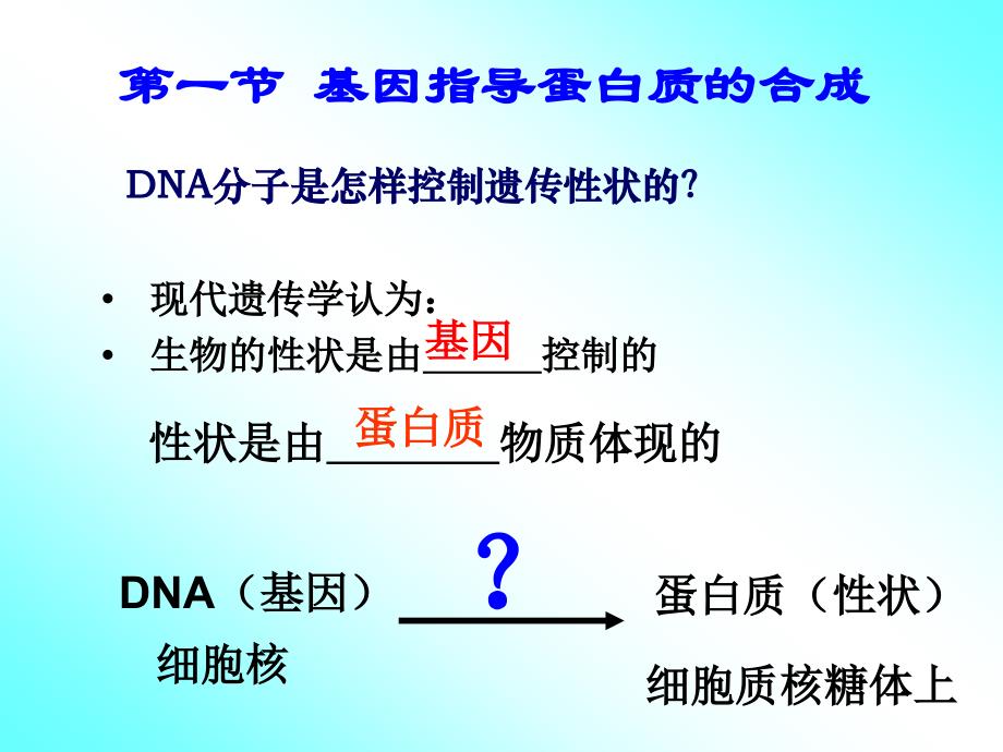 第四章基因的表达第一节基因指导蛋白质的合成_第2页