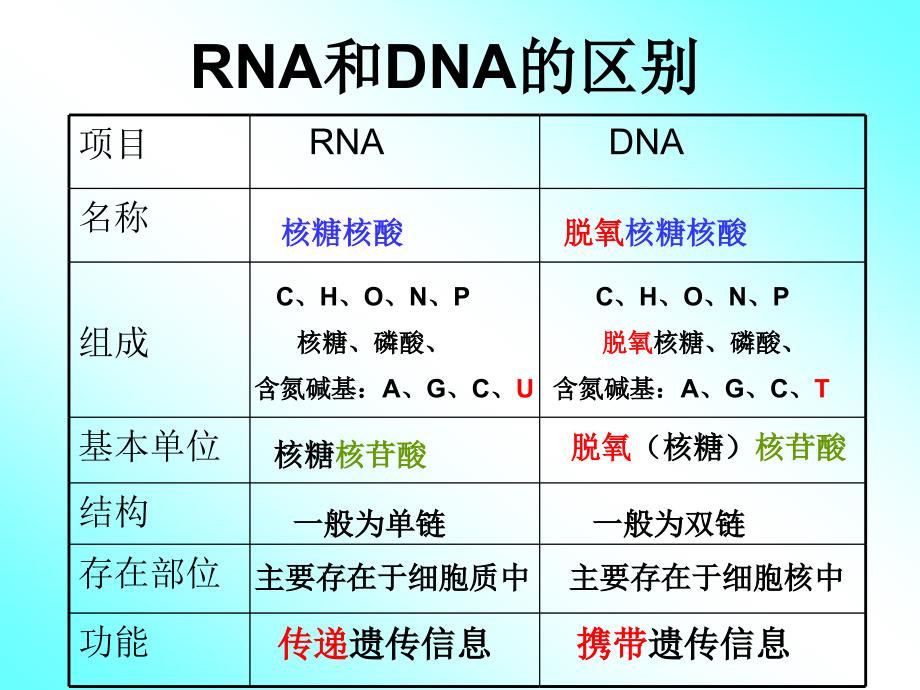 第四章基因的表达第一节基因指导蛋白质的合成_第4页