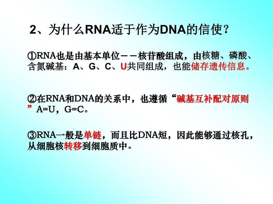 第四章基因的表达第一节基因指导蛋白质的合成_第5页