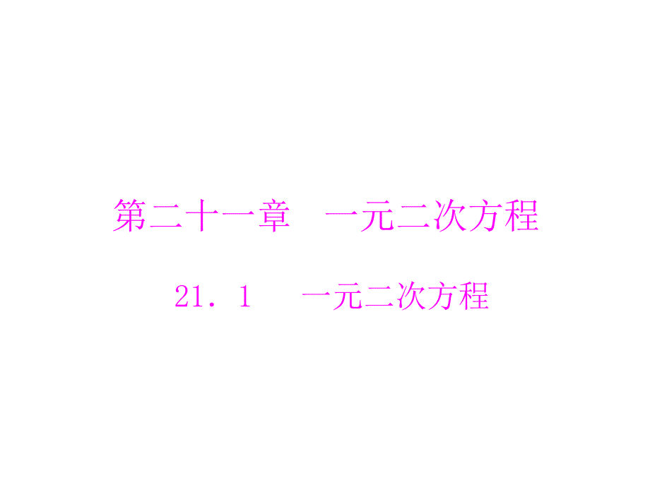 221一元二次方程_第1页