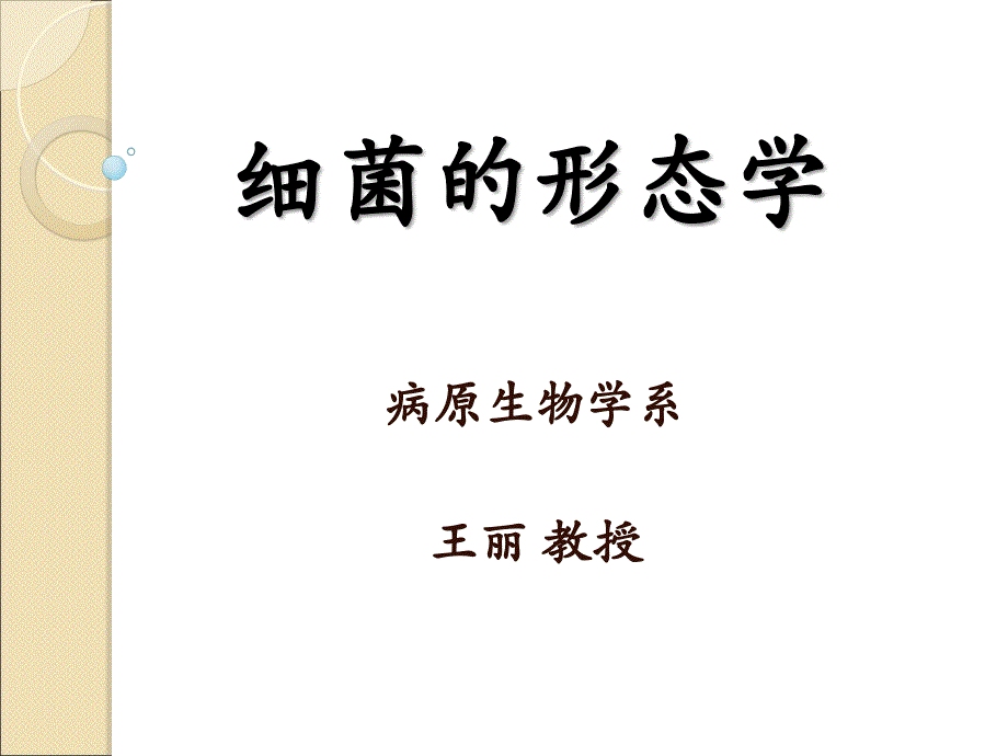 细菌的形态学课件_第3页