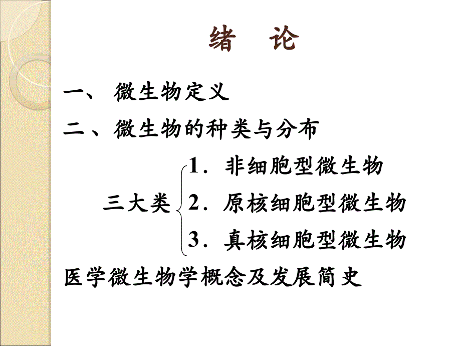 细菌的形态学课件_第4页