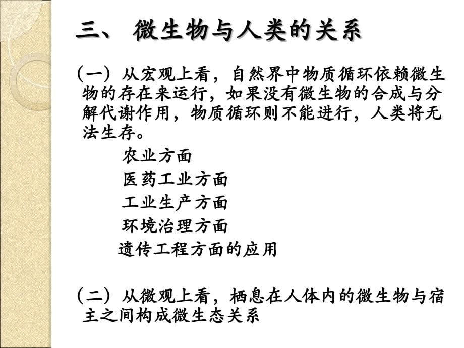 细菌的形态学课件_第5页