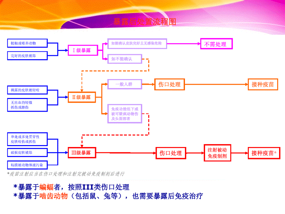 狂犬病暴露预防处置流程_第2页