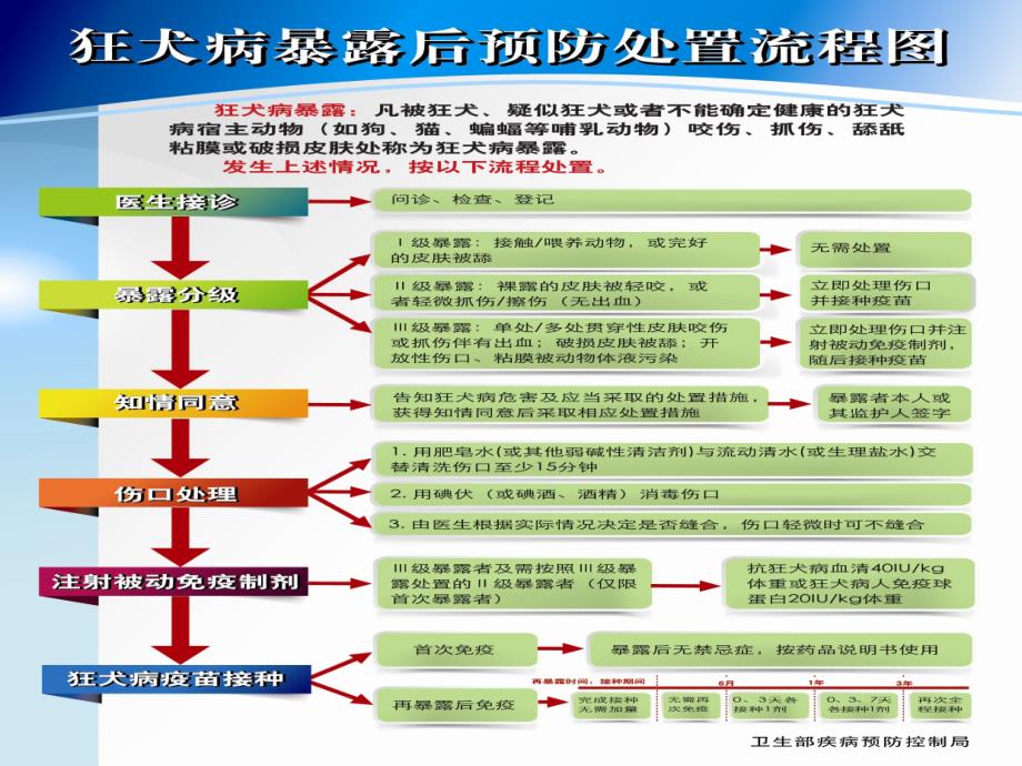 狂犬病暴露预防处置流程_第3页