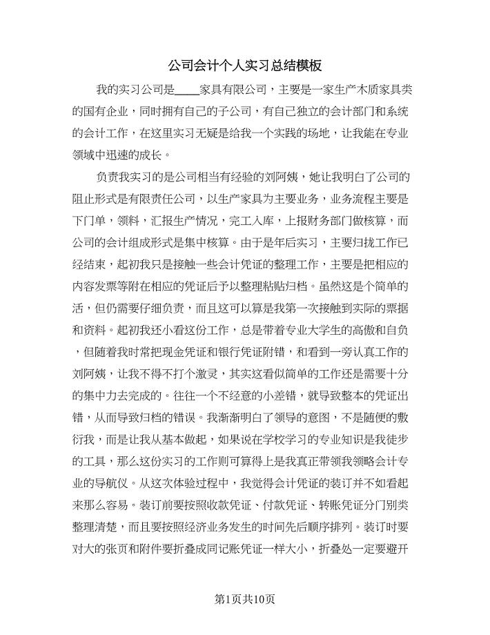 公司会计个人实习总结模板（2篇）.doc