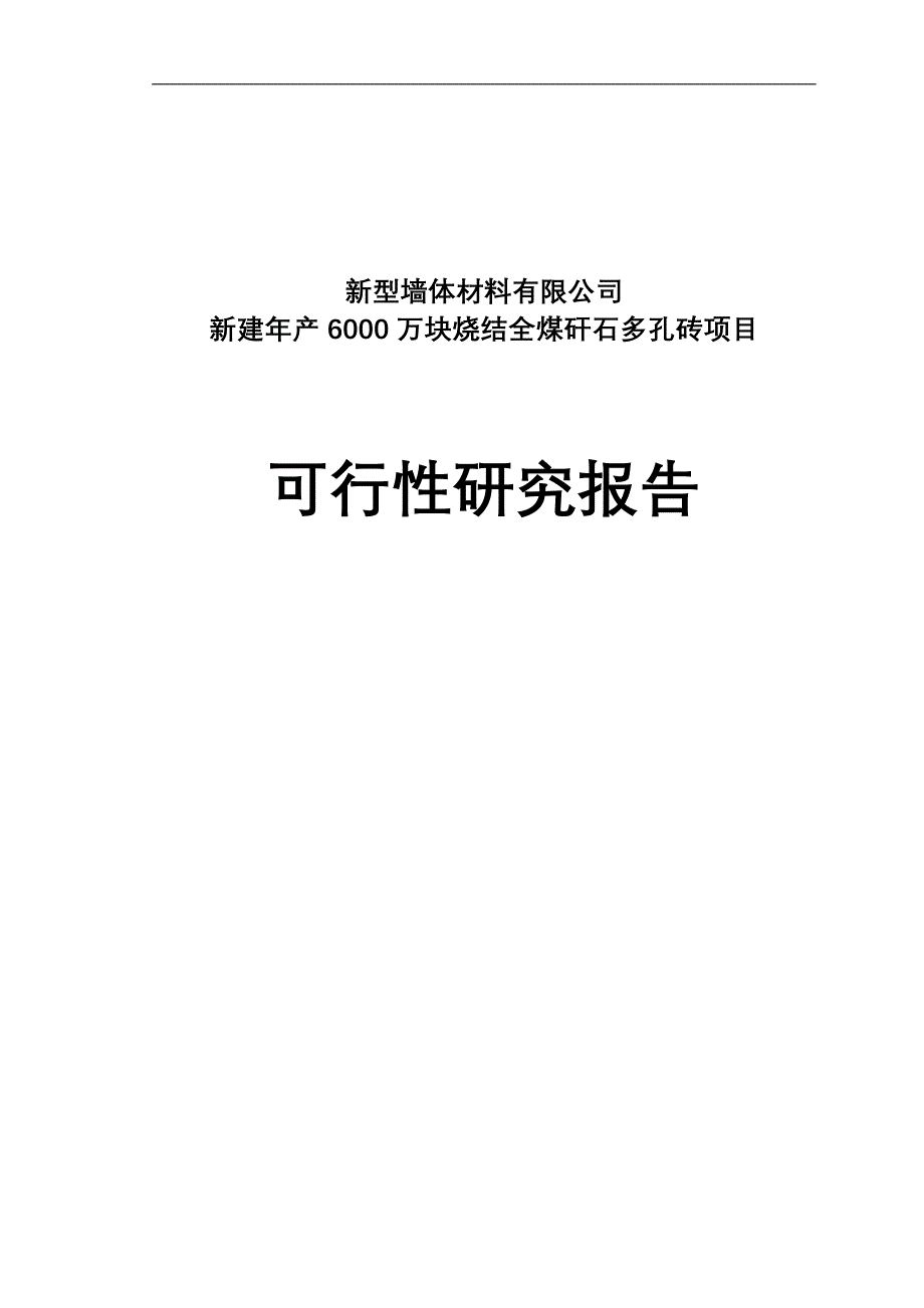 新型墙体材料可行性研究报告.doc_第1页