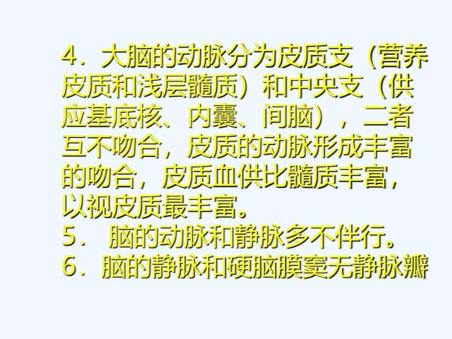 脑血管解剖 （53页）_第5页