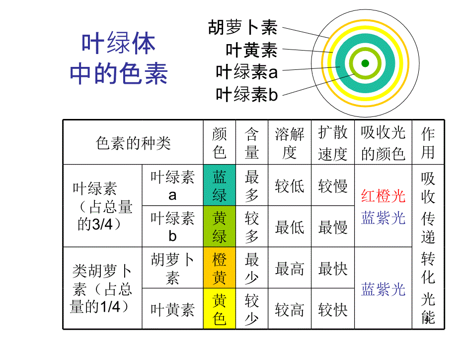 光合作用和细胞呼吸复习_第4页