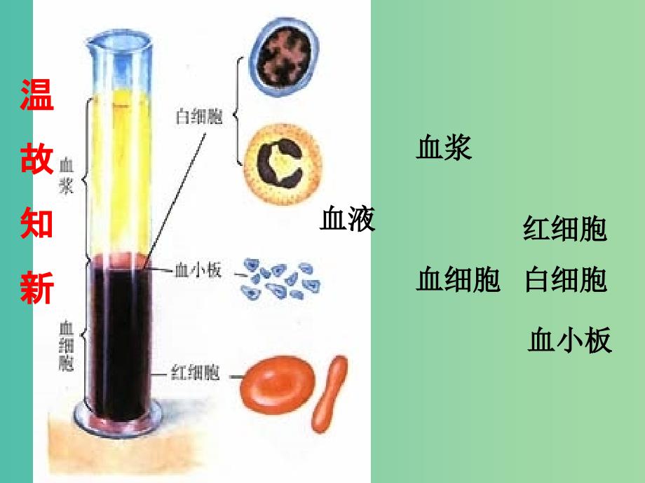 七年级生物下册 第四章 第四节 输血与血型课件 新人教版.ppt_第2页