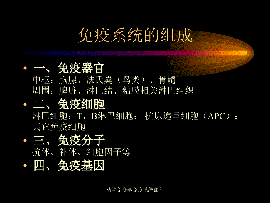 动物免疫学免疫系统课件_第2页