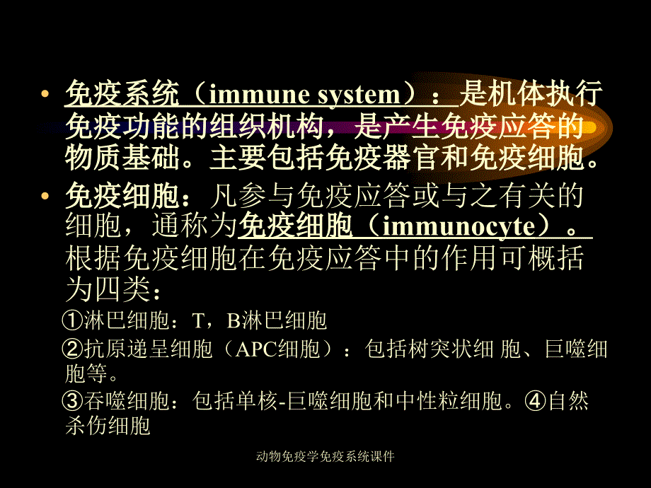 动物免疫学免疫系统课件_第3页