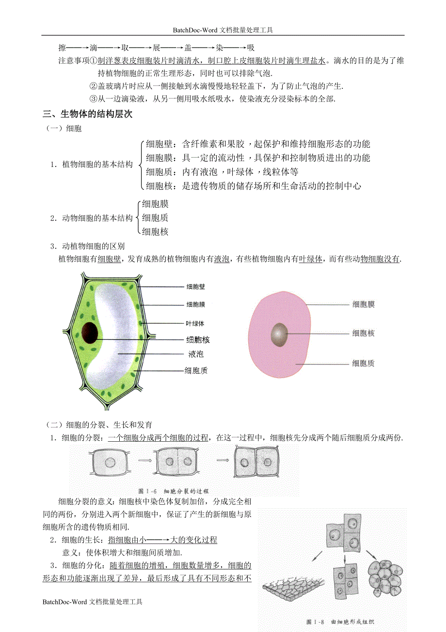 初中生物知识要点_第2页