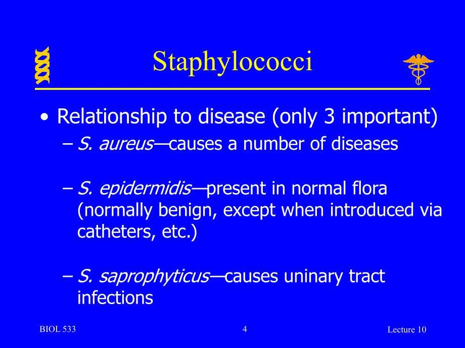 英文版微生物学授课讲义lecture10_第4页