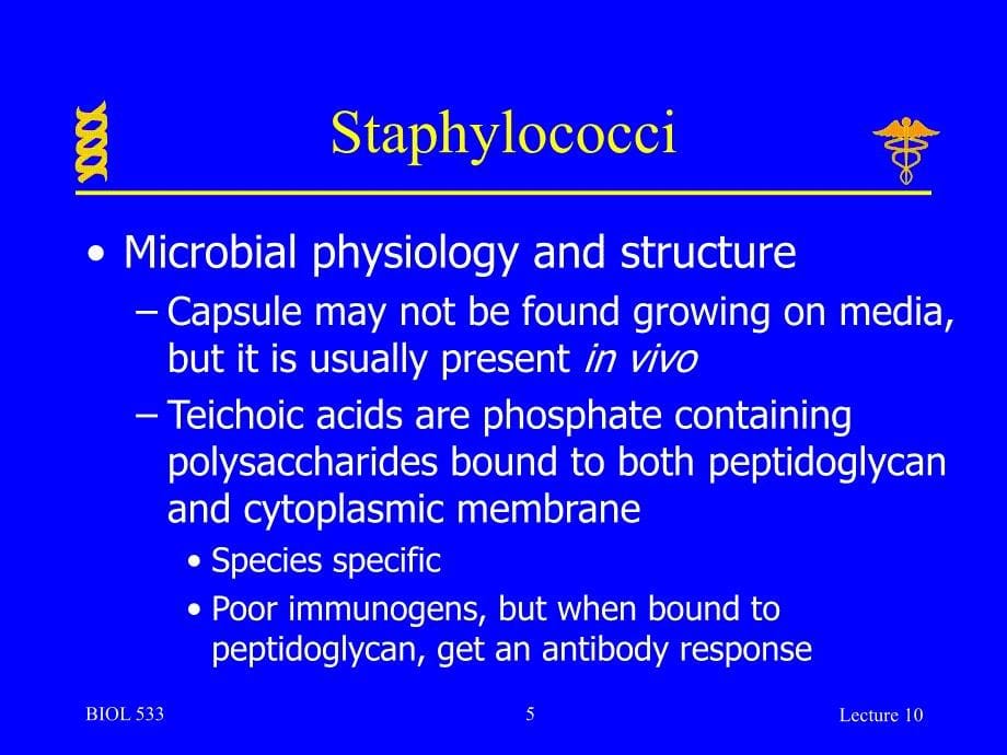 英文版微生物学授课讲义lecture10_第5页