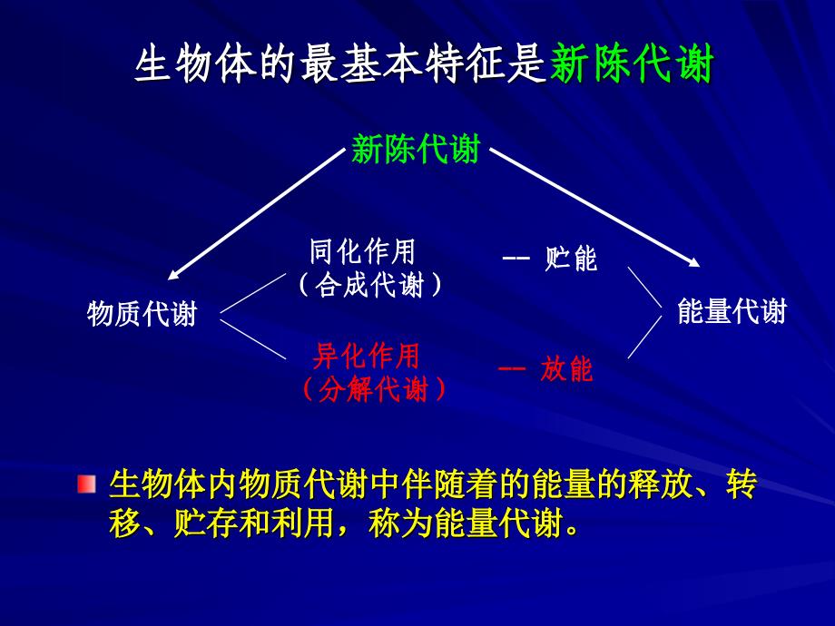 人体解剖生理学PPT课件_第4页