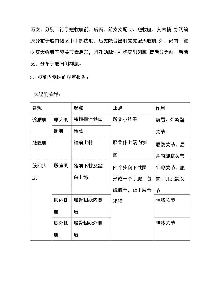 股前内侧区观察报告_第4页