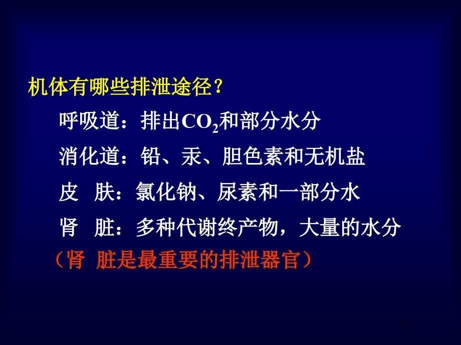 肾脏.ppt_第5页