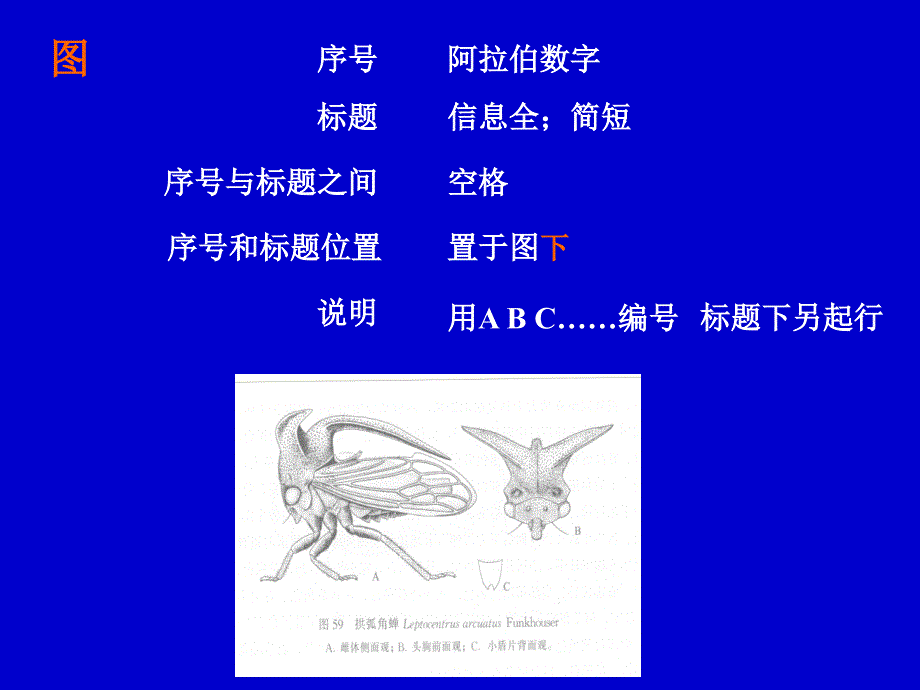 细胞生物学图表制作.9_第2页