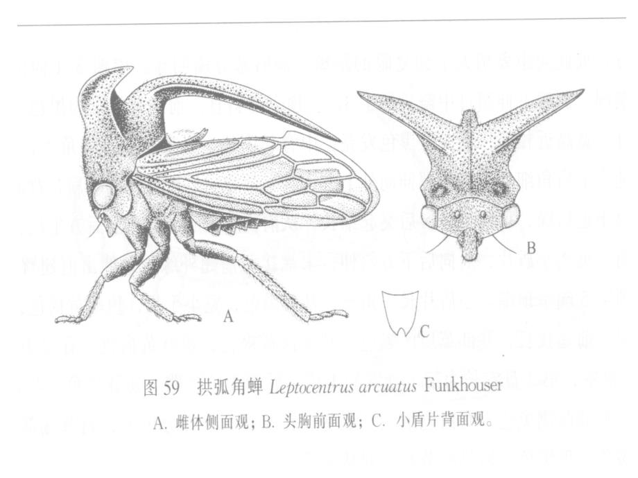 细胞生物学图表制作.9_第3页