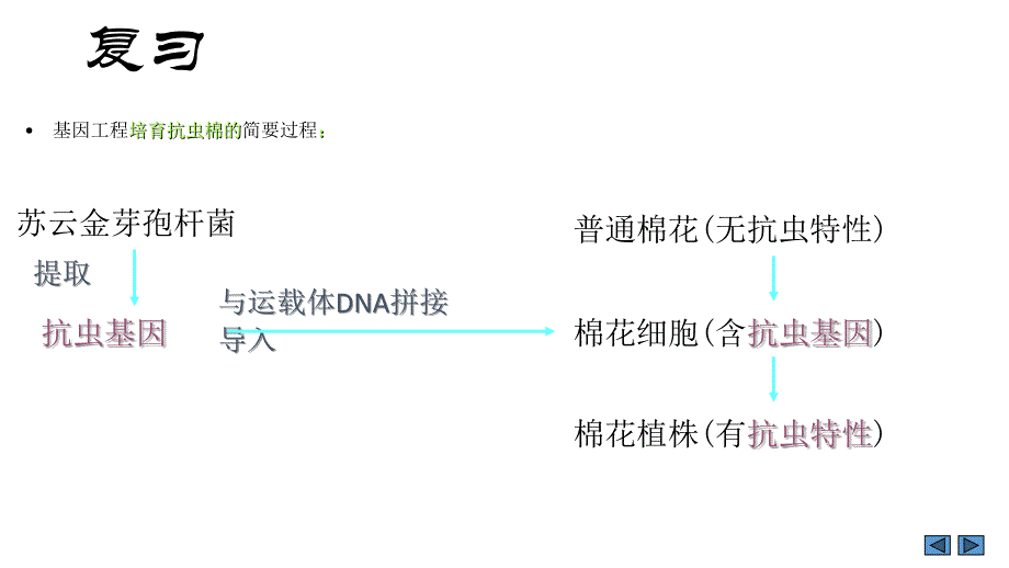 高中生物基因工程ppt课件_第4页