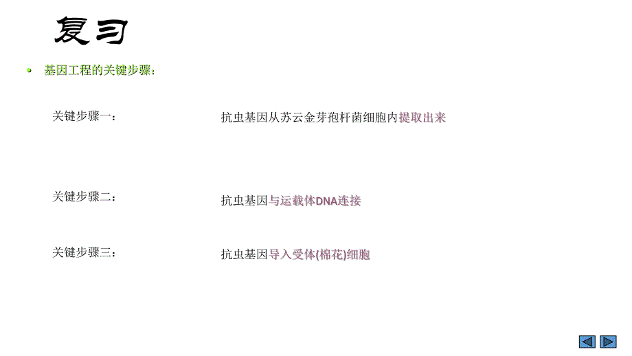 高中生物基因工程ppt课件_第5页