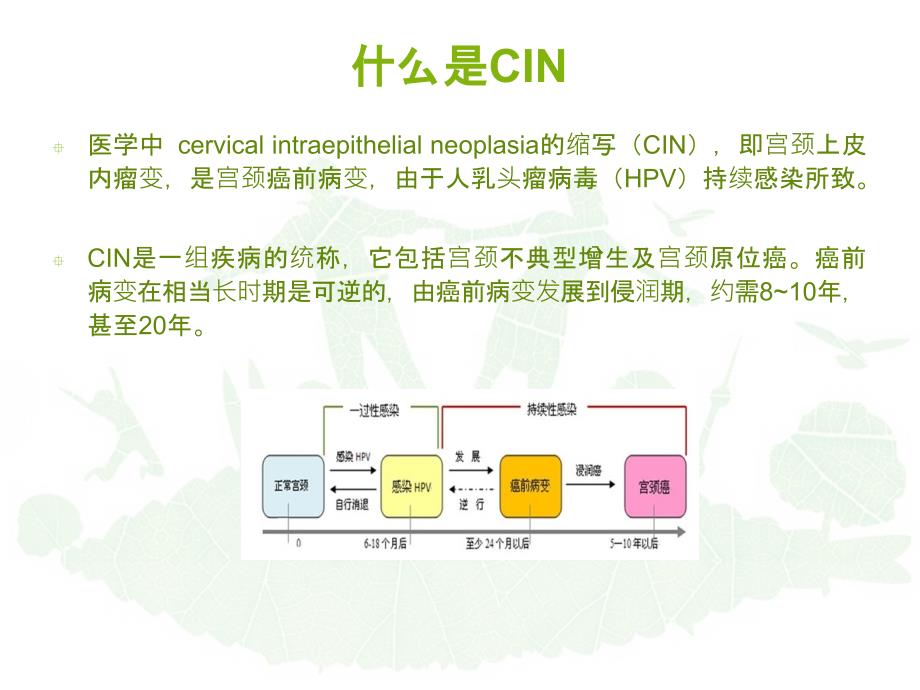 cin1级怎么治疗_第2页