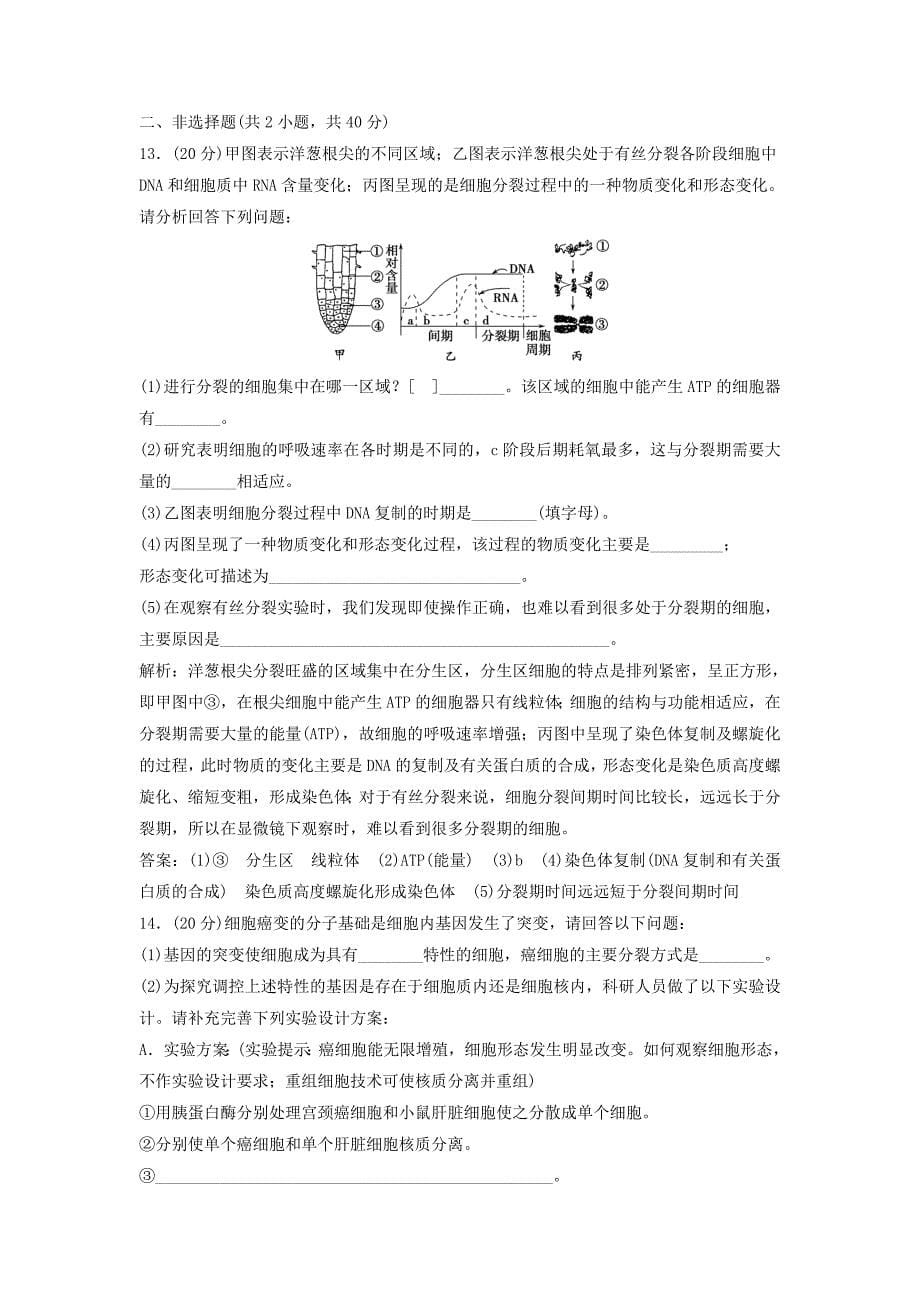 （课堂设计）学高中生物 第6章 细胞的生命历程本章测试（B卷）新人教版必修1_第5页