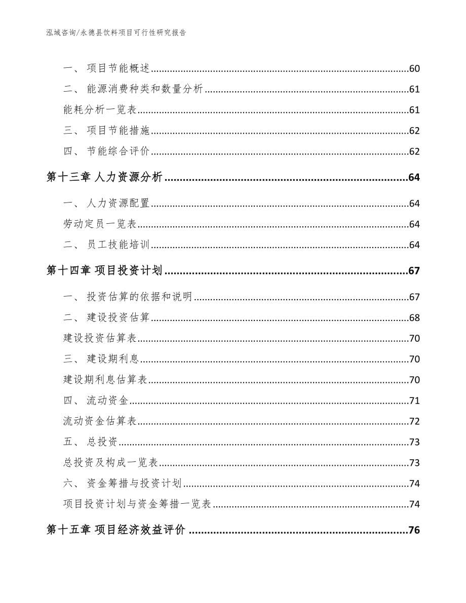 永德县饮料项目可行性研究报告_模板_第5页