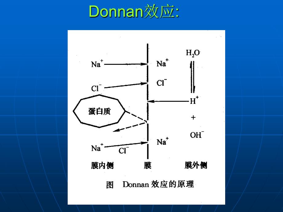 生物大分子的分离纯化技术_第4页