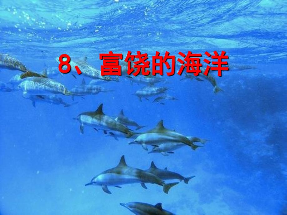 语文A版语文五上富饶的海洋课件3_第1页