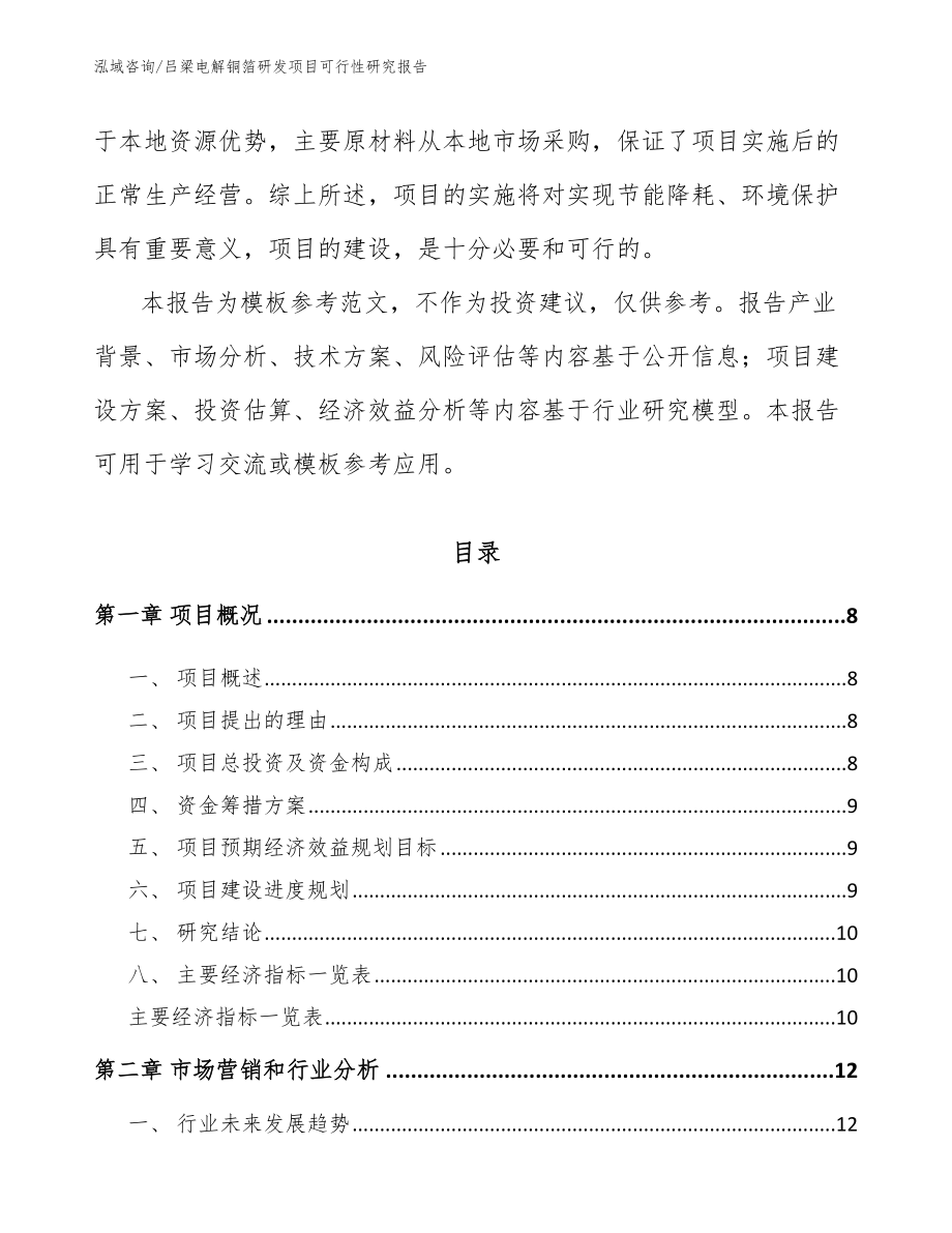 吕梁电解铜箔研发项目可行性研究报告模板参考_第2页