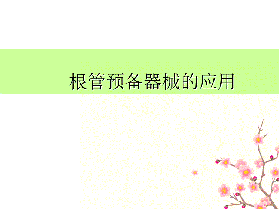 根管预备器械及方法总结_第1页