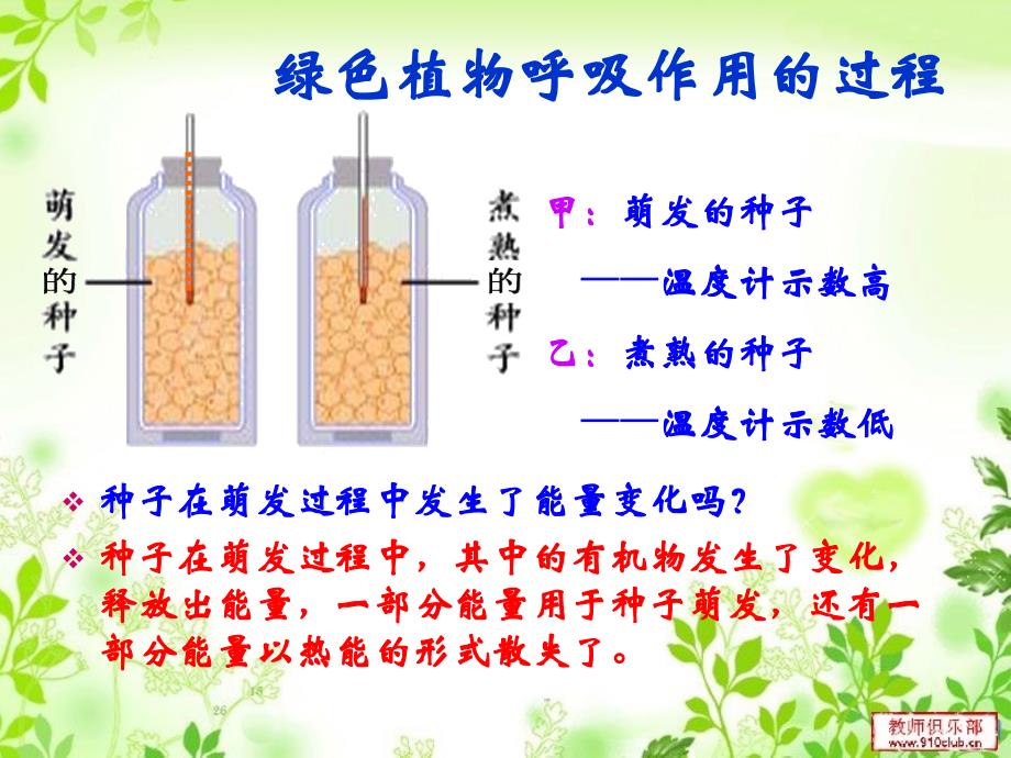 第五章第二节绿色植物的呼吸作用_第3页