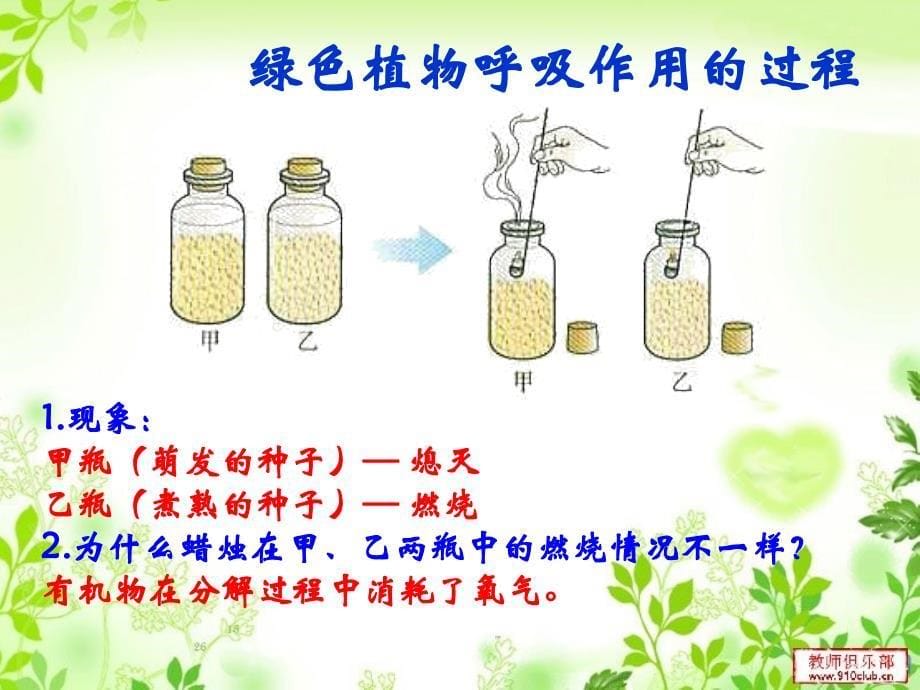 第五章第二节绿色植物的呼吸作用_第5页