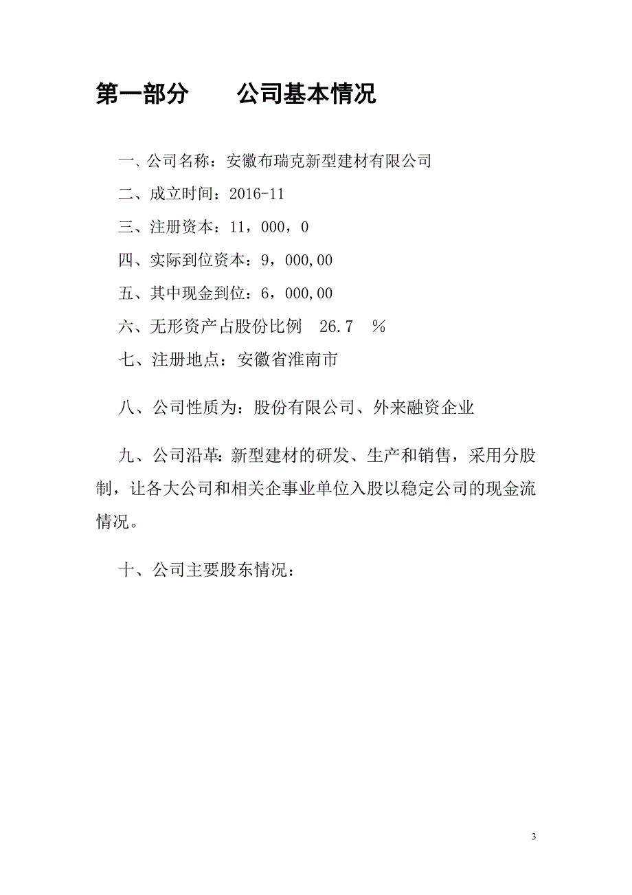 新型煤矸石磁性九孔空心砖创业计划书_第4页