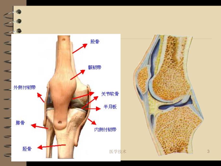 人工全膝关节置换术后护理【医学技术】_第3页