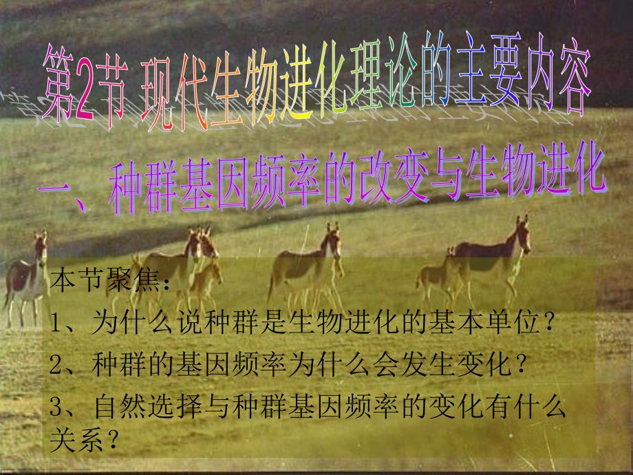 种群基因频率的改变与生物进化_第1页