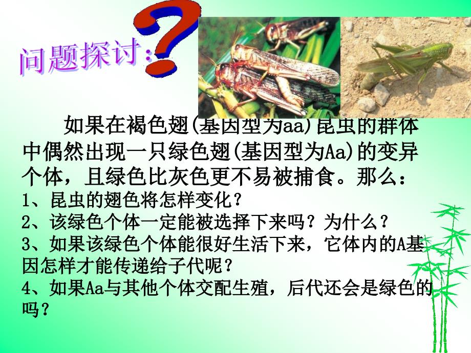 种群基因频率的改变与生物进化_第2页