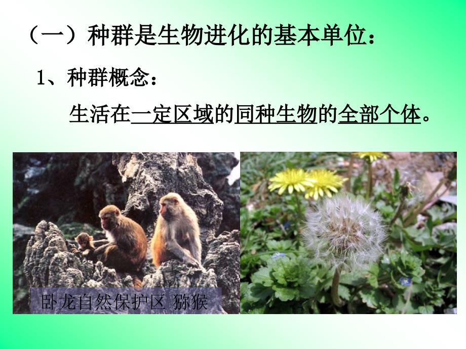 种群基因频率的改变与生物进化_第3页