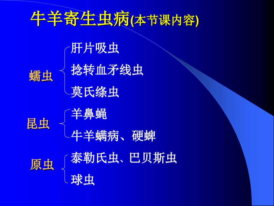 牛羊病寄生虫病 ppt课件_第1页